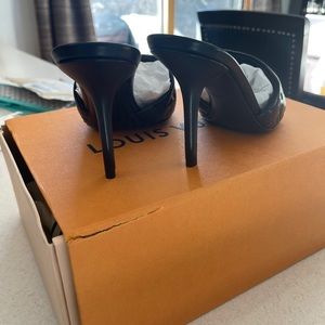 Louis Vuitton shoes